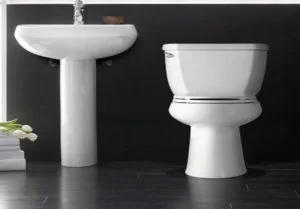 Toilet and Sink